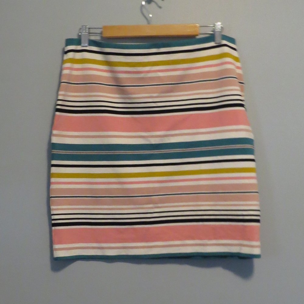 Striped Multicolor Women's Skirt